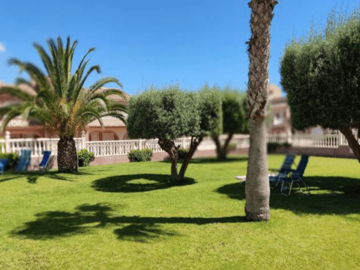 piscina césped y sombra